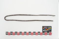 Foto von Eisenklammer (NHMW-PRAE-025089a)